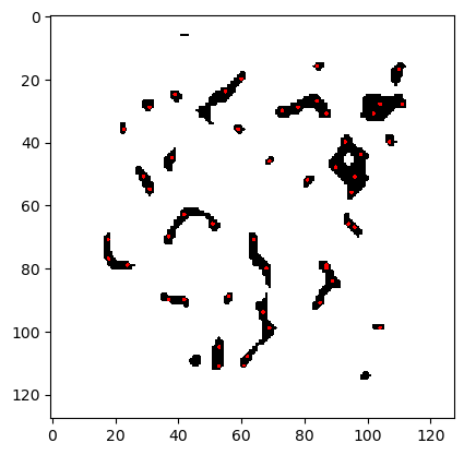 Storm data