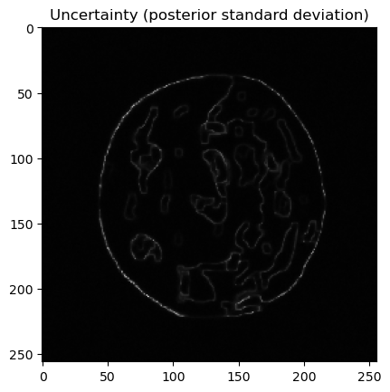 Uncertainty (posterior standard deviation)