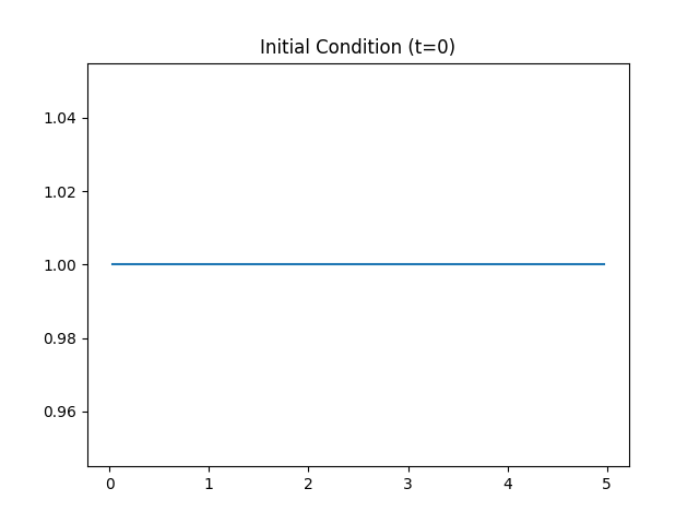 Initial Condition (t=0)